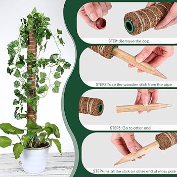 ミ*ミ様 MOSS STICK U5 154cm U5 – Moss Snowstick